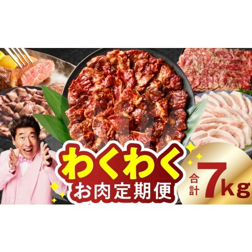 ふるさと納税 牛肉 焼肉・バーベキュー 大阪府 泉佐野市 わくわくお肉定期便 全6回 合計7kg ハラミ 牛たん 豚トロ 焼肉 BBQ やきにく ファミリー 定期便