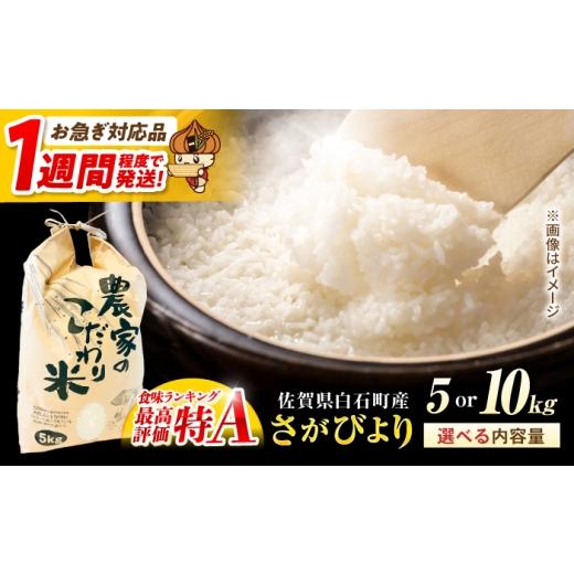 ふるさと納税 米 さがびより 佐賀県 白石町 スピード配送 令和7年産 さがびより(白米) 10kg かわさきいちご IBG022 10kg
