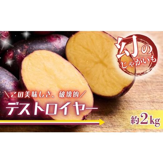 ふるさと納税 野菜類 じゃがいも 大阪府 河内長野市 じゃがいも デストロイヤー 2kg |グランペチカ グラウンドペチカ 希少品種 数量限定 こっしーファーム い…