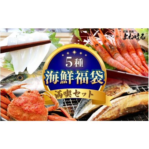 ふるさと納税 エビ あまエビ 福井県 美浜町 海鮮福袋 満喫セット 5種(カニ エビ イカ サバ ハマチ) 産地直送 甘えび 甘海老 アマエビ セイコガニ かに 蟹 サ…