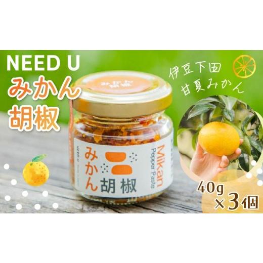 ふるさと納税 塩・だし ハーブ・風味付き 静岡県 下田市 調味料 みかん胡椒 3個 (120g) 胡椒 こしょう 料理 洋食 パスタ 和食 みかん 甘夏みかん 小分け 唐辛…