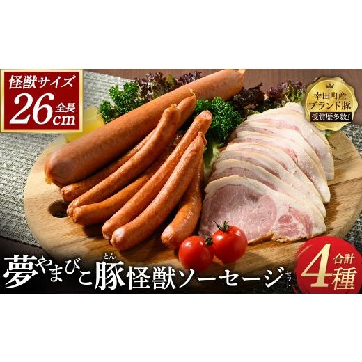 ふるさと納税 肉 ソーセージ 愛知県 幸田町 夢やまびこ豚の怪獣ソーセージセット 4種 | ソーセージ ウィンナー チョリソー ハム 夢やまびこ豚 加工肉 豚肉 セ…