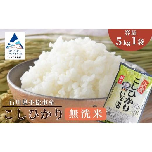 ふるさと納税 無洗米 石川県 小松市 無洗米 こしひかり 精米 5kg 令和7年産 コシヒカリ 精米 白米 米 こめ コメ お米 5kg 米5kg ごはん ご飯 国産米 農協 …