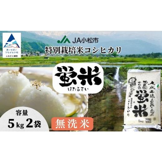ふるさと納税 無洗米 石川県 小松市 無洗米 [特別栽培米] コシヒカリ 精米 蛍米 10kg ( 5kg × 2袋 ) コメ こめ お米 10kg 米10kg おこめ 白米 こしひかり …