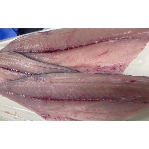 ふるさと納税 旬の鮮魚等 香川県 綾川町   新鮮 とれたて 香川県産 特大さわら(片身) 1.0kg以上 さわら サワラ 鰆 魚 魚介 魚介類 切り身 片身 冷…
