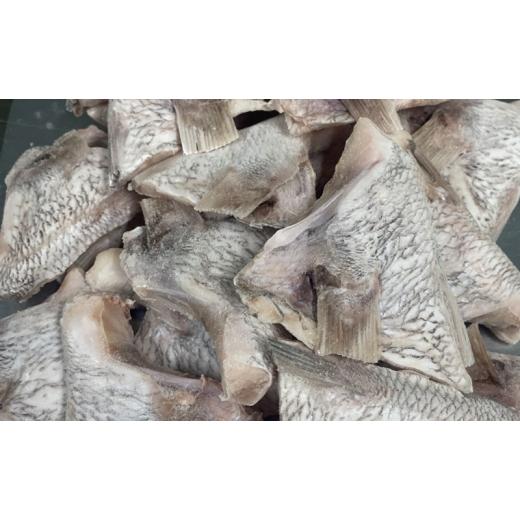 ふるさと納税 魚貝類 鯛 香川県 綾川町   たっぷり 香川県産 天然真鯛カマ 1.5kg(約20個〜50個入り) 鯛 真鯛 カマ 魚 魚介 魚介類 冷凍 香川 香川…