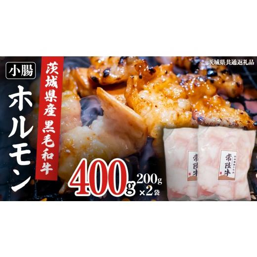 ふるさと納税 牛肉 ホルモン 茨城県 牛久市 茨城県産 黒毛和牛 もつ鍋 焼肉用 小腸 400g(200g×2パック) (茨城県共通返礼品) 国産 牛肉 肉 お肉 ホルモン …