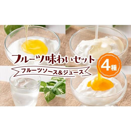 ふるさと納税 果汁飲料 鹿児島県 肝付町 A83014 フルーツ味わいセット(4種) 鹿児島 国産 フルーツ ソース 果物 果汁 ジュース ドリンク 甘夏 柑橘 みかん パッ…