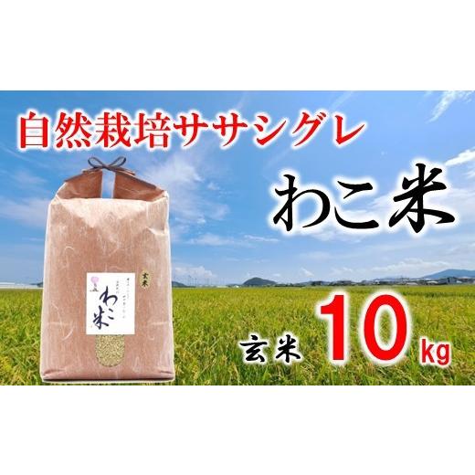 ふるさと納税 米 ササニシキ 石川県 羽咋市 新米予約 玄米 10kg ササシグレ 自然栽培 幻 お米 自然栽培米 令和8年産 数量限定 石川県産 米 環境 こだわり 1袋…