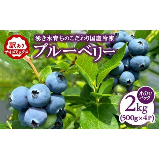 ふるさと納税 果物類 愛知県 幸田町 訳あり2kg 湧き水育ちの国産冷凍ブルーベリー(500g×4パック)農家直送 ブルーベリーガーデンcoicoi/愛知県額田郡幸田町 …