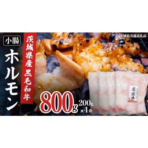 ふるさと納税 牛肉 ホルモン 茨城県 牛久市 茨城県産 黒毛和牛 もつ鍋 焼肉用 小腸 800g(200g×4パック) (茨城県共通返礼品) 国産 牛肉 肉 お肉 ホルモン …