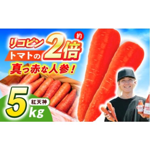 ふるさと納税 野菜類 人参 長崎県 諫早市 甘みと栄養たっぷり 真っ赤な人参「紅天神」 5kg?/ にんじん ニンジン 人参 carrot やさい 野菜 にんじんジュース …