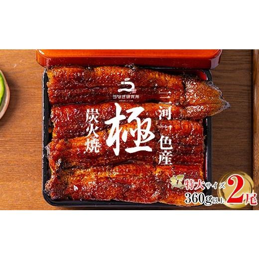 ふるさと納税 うなぎ 愛知県 西尾市 三河一色産うなぎ蒲焼超特大2尾(計360g以上) 土用の丑 ・R046-18-c1 土用の丑の日までにお届け