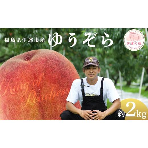 ふるさと納税 もも 福島県 伊達市 福島県産 桃 ゆうぞら 約2kg(6〜8玉) KING OF PEACHESS キングオブピーチ 伊達の桃 桃 フルーツ 果物 もも モモ momo F21C-5…