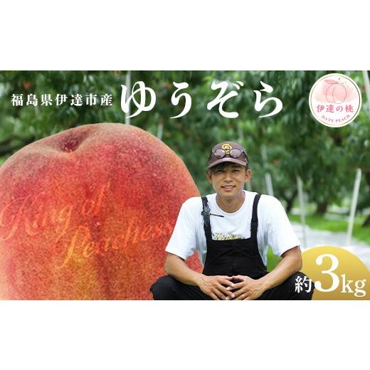 ふるさと納税 もも 福島県 伊達市 福島県産 桃 ゆうぞら 約3kg(8〜12玉) KING OF PEACHESS キングオブピーチ 伊達の桃 桃 フルーツ 果物 もも モモ momo F21C-…