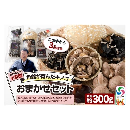 ふるさと納税 セット・詰合せ 秋田県 仙北市 みちのくの小京都・角館が育んだ「おまかせセット」(桜えのき、原木しいたけ、生きくらげ、乾燥きくらげ、訳あり…