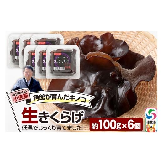 ふるさと納税 野菜類 きのこ 秋田県 仙北市 みちのくの小京都・角館が育んだ「生きくらげ」約100g×6個 きくらげ 木耳 キクラゲ 生 肉厚 秋田県 仙北市 角館