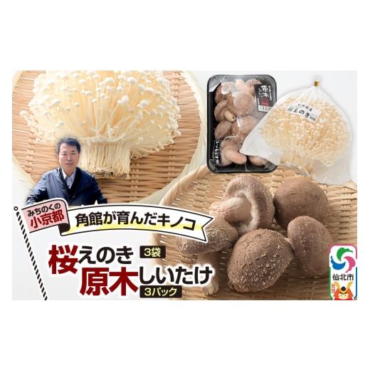 ふるさと納税 セット・詰合せ 秋田県 仙北市 みちのくの小京都・角館が育んだ「2種セット」(桜えのき約300g×3袋、原木しいたけ×3パック) えのき エノキ し…