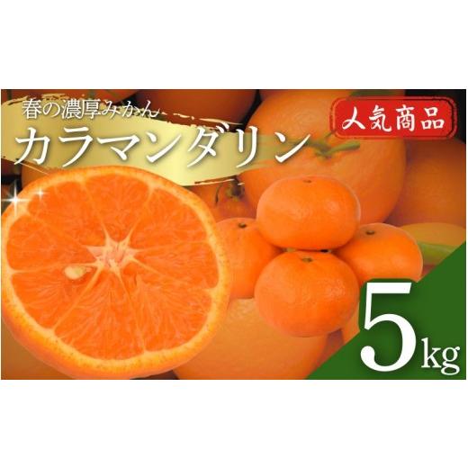 ふるさと納税 みかん・柑橘類 和歌山県 田辺市 先行予約 カラマンダリン 秀品 5kg 2027年4月上旬〜5月中旬頃に順次発送予定 期間限定・数量限定 / 柑橘 季節…