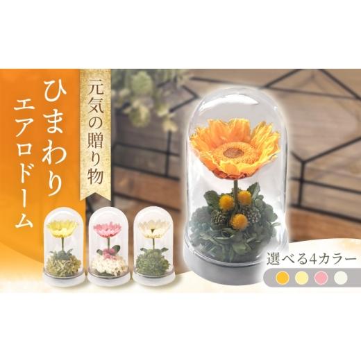 ふるさと納税 雑貨・日用品 花 長崎県 大村市 ひまわりエアロドーム / プリザーブドフラワー アレンジメント お花ギフト / 大村市 サニーサイドファクトリー…