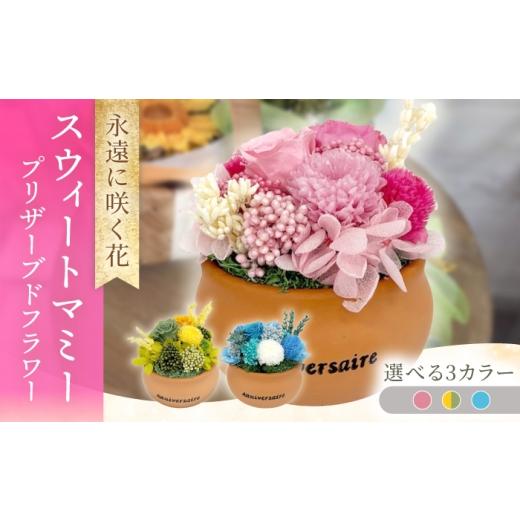 ふるさと納税 雑貨・日用品 花 長崎県 大村市 スウィートマミー / プリザーブドフラワー アレンジメント お花ギフト / 大村市 サニーサイドファクトリー ACC…