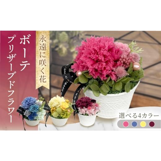 ふるさと納税 雑貨・日用品 花 長崎県 大村市 ボーテ / プリザーブドフラワー アレンジメント お花ギフト / 大村市 サニーサイドファクトリー