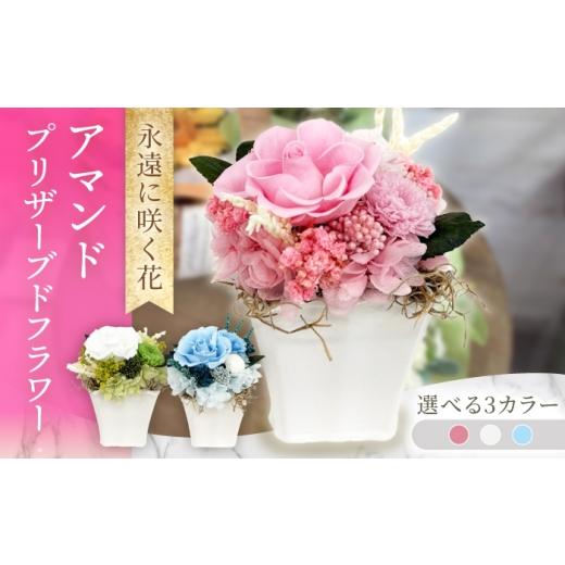 ふるさと納税 雑貨・日用品 花 長崎県 大村市 アマンド / プリザーブドフラワー アレンジメント お花ギフト / 大村市 サニーサイドファクトリー