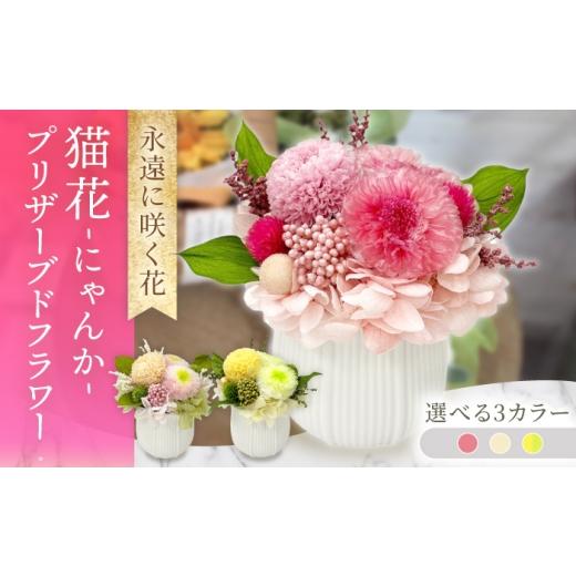 ふるさと納税 雑貨・日用品 花 長崎県 大村市 猫花 -にゃんか- / プリザーブドフラワー アレンジメント お花ギフト / 大村市 サニーサイドファクトリー ACC…