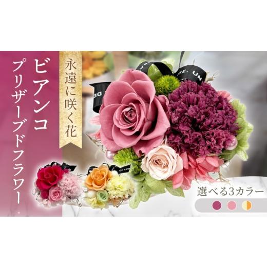 ふるさと納税 雑貨・日用品 花 長崎県 大村市 ビアンコ / プリザーブドフラワー アレンジメント お花ギフト / 大村市 サニーサイドファクトリー