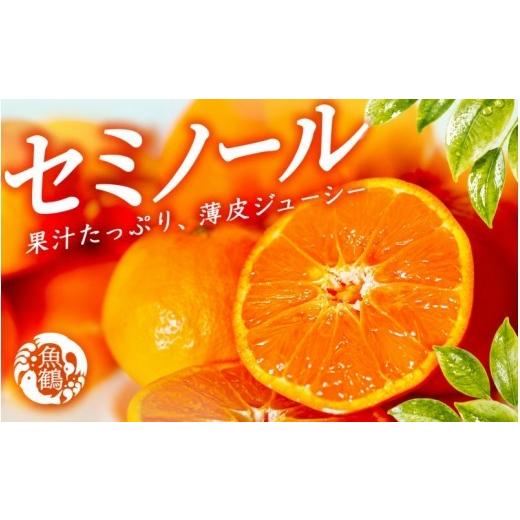 ふるさと納税 みかん・柑橘類 オレンジ 和歌山県 太地町 ジューシー柑橘 セミノールオレンジ 5kg 5月上旬〜5月下旬頃発送予定