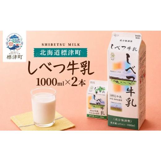 ふるさと納税 飲料類 牛乳 北海道 標津町 お試し しべつ牛乳 1L × 2本 北海道産 パックミルク 牛乳 乳製品 生乳 生乳100% 国産 ミルク みるく ぎゅうにゅう …