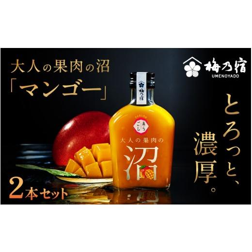 ふるさと納税 お酒 洋酒 奈良県 葛城市 大人の果肉の沼 「マンゴー」 2本セット / 梅乃宿酒造 お酒 リキュール マンゴー 果物 果実酒 宅飲み ギフト 人気 お…