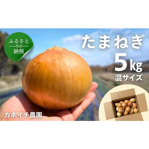 ふるさと納税 野菜類 玉ねぎ 大阪府 河内長野市 玉ねぎ 5kg 混サイズ カネイチ農園|玉ねぎ たまねぎ タマネギ 玉葱 カレー シチュー 肉じゃが スープ サラダ …