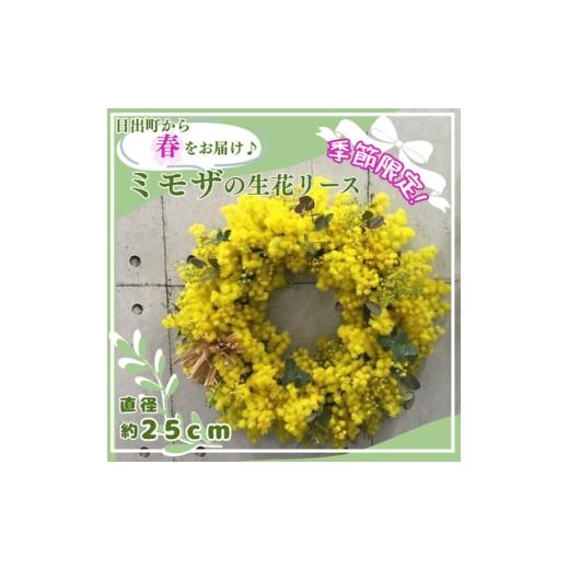 ふるさと納税 花・苗木 大分県 日出町 2027年3月より順次発送予定 日出町から春をお届け ふわふわのミモザをたっぷり使ったリース 1742524