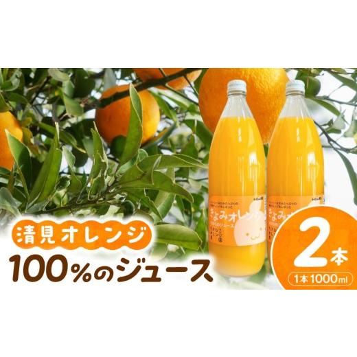 ふるさと納税 野菜類 ジュース 和歌山県 湯浅町 AB8348_ 数量限定 清見オレンジ100%のジュース(ストレート) 1,000ml×2本セット