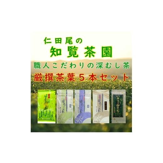 ふるさと納税 お茶類 鹿児島県 南九州市 自宅用 知覧茶園の深むし茶 厳撰茶葉5本セット 1740608