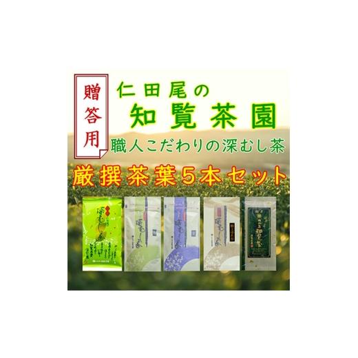 ふるさと納税 お茶類 鹿児島県 南九州市 贈答用 知覧茶園の深むし茶 厳撰茶葉5本セット 1740626