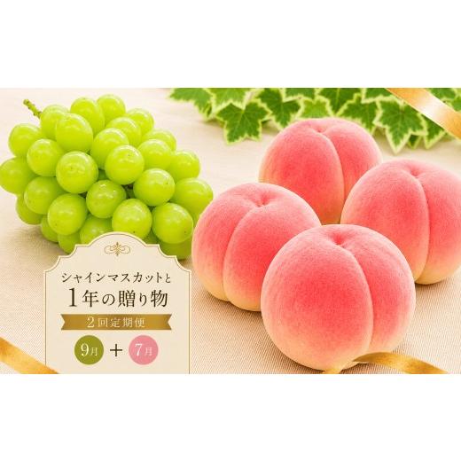 ふるさと納税 ぶどう マスカット 香川県 丸亀市 定期便 2回 シャインマスカット 桃 もも 丸亀の桃 飯山の桃 peach ぶどう 果物 フルーツ 旬 旬のフルーツ 贈答…