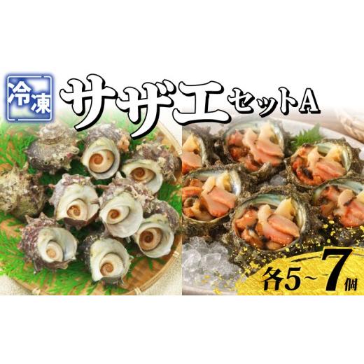 ふるさと納税 サザエ 山口県 下関市 冷凍 さざえセットA (冷凍スチームさざえ&お造りさざえ) 各5〜7個 スチーム加工 時短 殻付き さざえ 食べ比べ 海鮮 下…