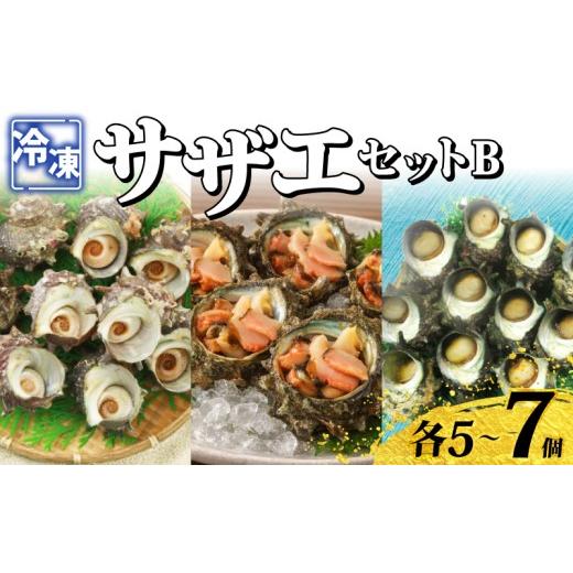 ふるさと納税 サザエ 山口県 下関市 冷凍 さざえセットB (冷凍スチームさざえ&お造りさざえ&つぼ焼きさざえ和風だし) 各5〜7個 スチーム加工 時短 殻付き …