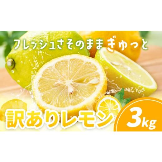 ふるさと納税 みかん・柑橘類 レモン 熊本県 津奈木町 訳あり レモン 3kg[10月上旬-12月下旬頃出荷]熊本県 津奈木町 青果物 レモン れもん 果物 フルーツ 国…