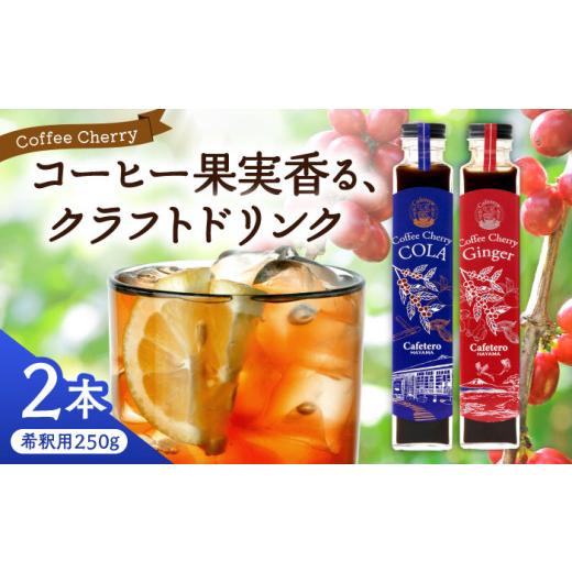 ふるさと納税 飲料類 神奈川県 葉山町 クラフトコーラ コーヒーチェリーコーラ・ジンジャー各1本 (計2本) / コーラ クラフトジンジャー ジンジャー エナジー…
