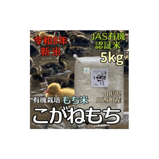 ふるさと納税 米 山形県 川西町 令和8年産先行予約 山形県川西町産 有機栽培もち米 こがねもち (精米) 5kg 1731862