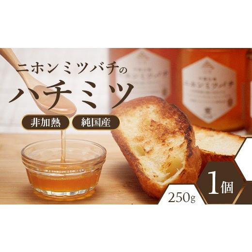 ふるさと納税 加工品等 はちみつ 広島県 庄原市 二ホンミツバチのハチミツ 250g×1個 | はちみつ 蜂蜜 国産 非加熱 にほんみつばち 日本蜜蜂