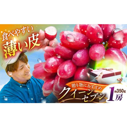 ふるさと納税 ぶどう 島根県 雲南市 お中元対象 フルーツ 2026年先行予約 10個限定 贈答用 期待の新品種 クイーンセブン 1房(約350g)秀品・化粧箱入りぶど…