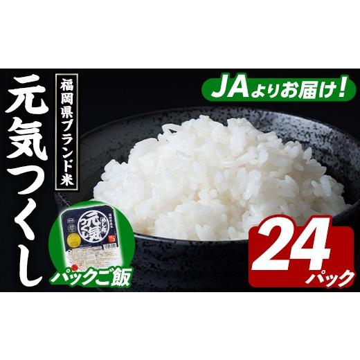 ふるさと納税 米 福岡県 芦屋町 パックご飯 福岡県産米 元気つくし(計24パック) お米 米 コメ おこめ こめ 元気つくし 小分け 白米 ごはん ご飯 福岡県産 ブ…