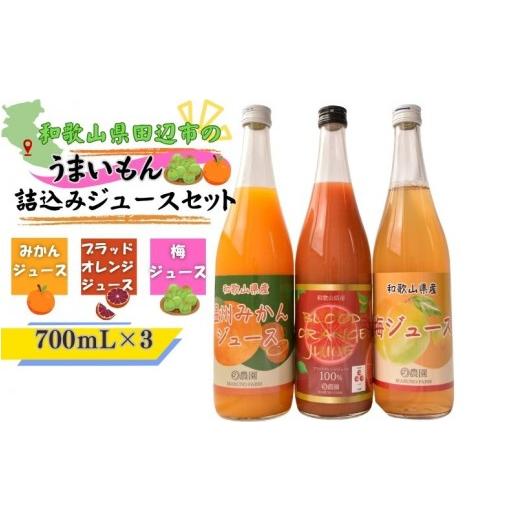 ふるさと納税 果物類 みかん 和歌山県 田辺市 和歌山県田辺市のうまいもん詰込みジュースセット / 和歌山県 田辺市 みかんジュース700mL 梅ジュース700mL…