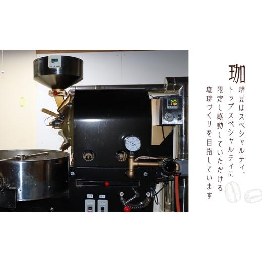 ふるさと納税 コーヒー コーヒー粉 静岡県 浜松市  定期便12か月 ロースターお勧め3種セット（深ブレンド雫・シダモ・グァテマラ） ペーパードリップ用粉 コー…_5
