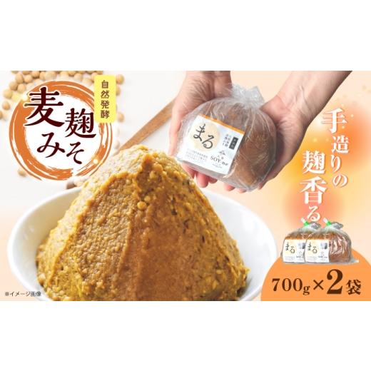 ふるさと納税 味噌 麦味噌 長崎県 西海市 自然発酵麦麹みそ700g×2袋 大島「SOY-ne」