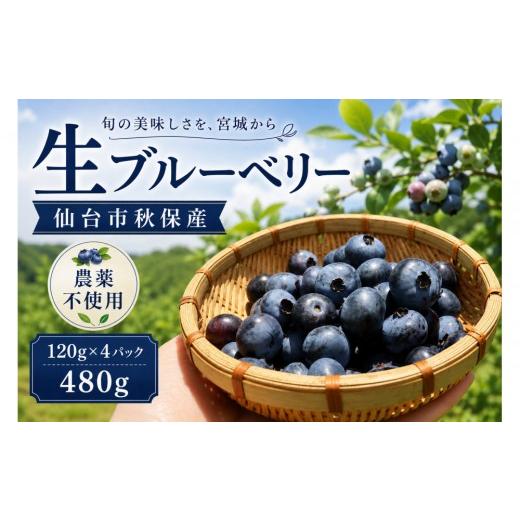 ふるさと納税 果物類 宮城県 仙台市 仙台市秋保産ブルーベリー (120gパックx4個 合計480g
